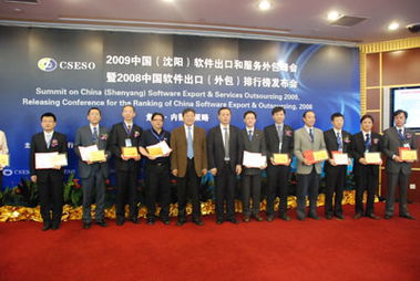 2008中国软件企业出口外包20强发布 产业蓬勃发展的里程碑