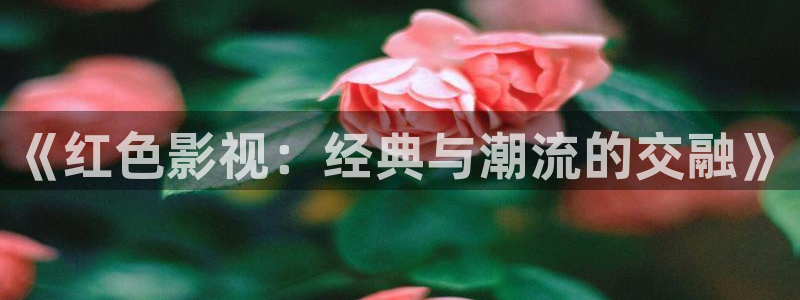 大地资源二高清在线观看播放：《红色影视：经典与潮流的交融》