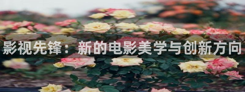 大地影院在线观看全集：影视先锋：新的电影美学与创新方向