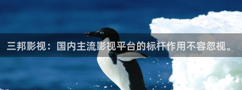 大地影院 在线播放：三邦影视：国内主流影视平台的标杆作用不容忽视。