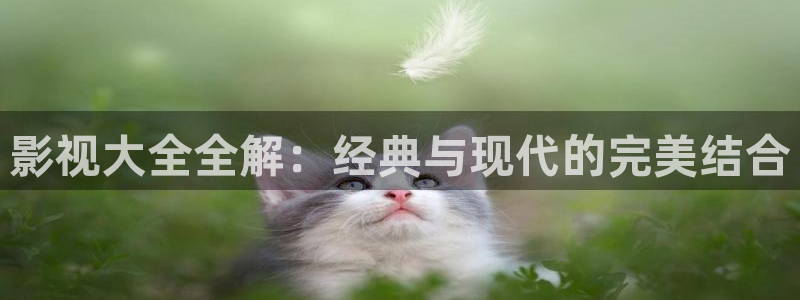 大地电影完整版在线观看高清：影视大全全解：经典与现代的完美结合