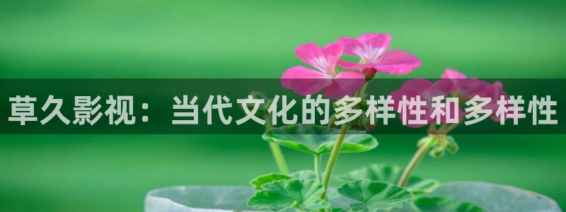 大地影视资源中文第二页怎么了：草久影视：当代文化的多样性和多样性