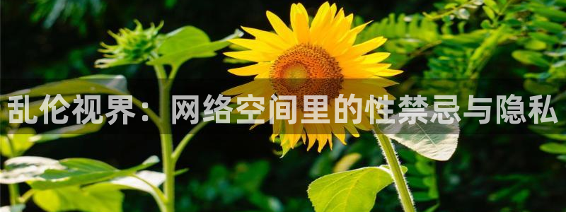 漯河大地影院影讯：乱伦视界：网络空间里的性禁忌与隐私