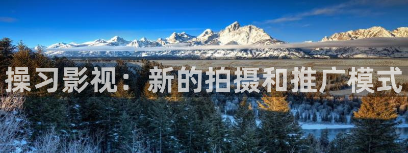 大地影院mv在线资源观看