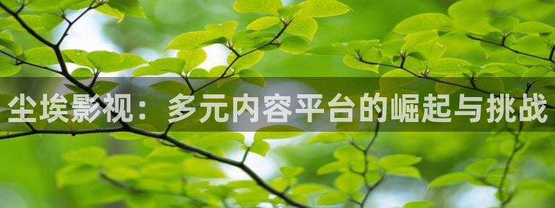 金堂大地影院今日放映表：尘埃影视：多元内容平台的崛起与挑战