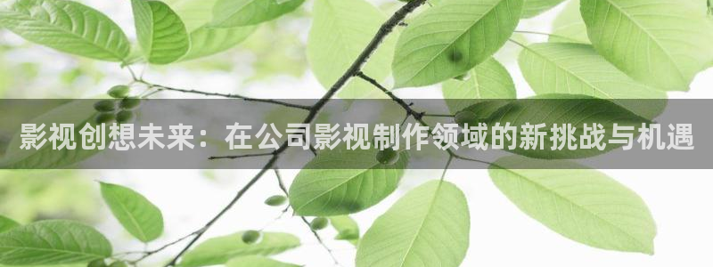 大地影院在线看