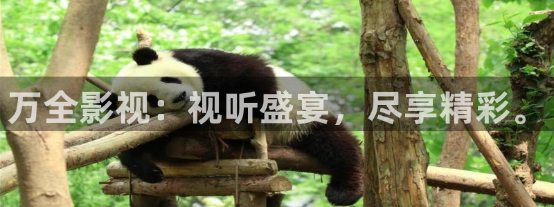 汕尾大地影院：万全影视：视听盛宴，尽享精彩。